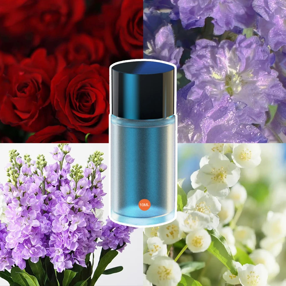 10ml Car Air Outlet Perfume Refill Liquid for Air Humidifier Supplement Liquid Aroma Essential Oil with Dropper Auto Fragrance